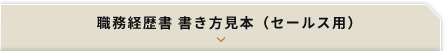 職務経歴書 書き方見本（セールス用）